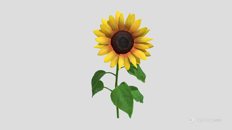 Bright Yellow Sunflower Plant With Brown Disc And Green Leaves On Green Stem 3d model 