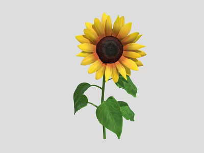 Bright Yellow Sunflower Plant With Brown Disc And Green Leaves On Green Stem 3d model