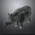 Gray Rhinoceros With Rough Skin And Single Horn On Dark Background