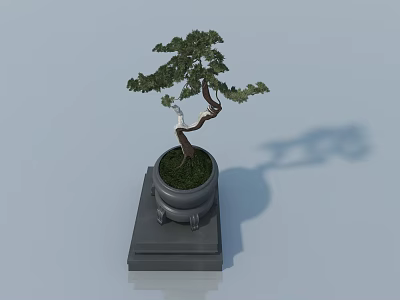 Small Green Leaf Bonsai Tree in Black Pot with Square Base on Light Background 3d model