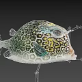 Colorful Marine Pufferfish Featuring Hexagonal Green Yellow Patterns Round Body and Big Eyes 3D Rendering