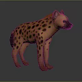 Realistic Detailed Spotted Hyena Model Standing in Pose on Dark Background