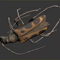 Orange and Black Spotted Longhorn Beetle With Long Antennae On Dark Surface