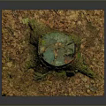Wooden Tree Stump Decorative Artwork With Stone Base And Autumn Leaves