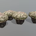 Set of Four Natural Mushroom Shaped Wooden Stone Decorative Pieces With Textured Surface