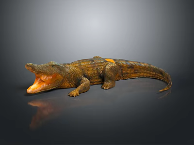 Brown Textured Crocodile With Open Mouth On Dark Background With Reflection 3d model