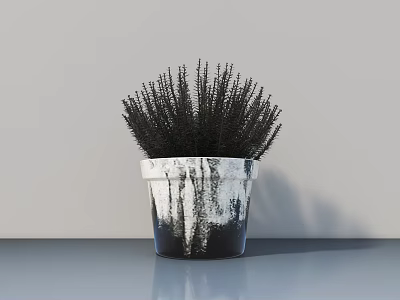 Bonsai Potted Plant In White Black Dripped Pot With Black Spiky Leaves On Gray Surface 3d model