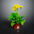 Healthy Potted Plant with Bright Yellow Flowers and Lush Green Leaves in Brown Pot
