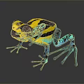 Vibrant Frog With Yellow And Black Body And Blue Legs On Dark Background
