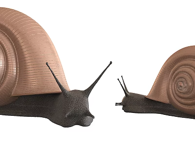 Modern Snail 3d model Modern Snail 3d model