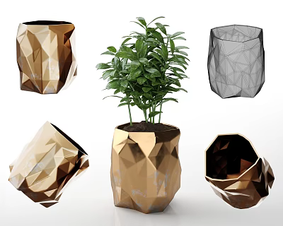 Geometric Ceramic Vessels As Planters With Green Plant And Gold Black Finishes 3d model