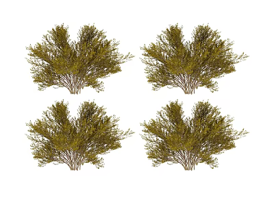 Lush Green Shrubs With Dense Foliage For Outdoor Garden Landscaping 3d model
