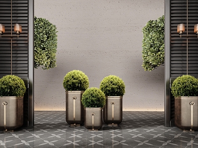 CCD hotel moss ball potted plant green plant bonsai 3d model