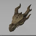 Detailed Animal Skull Organ Structure With Horns And Textured Bone Surface