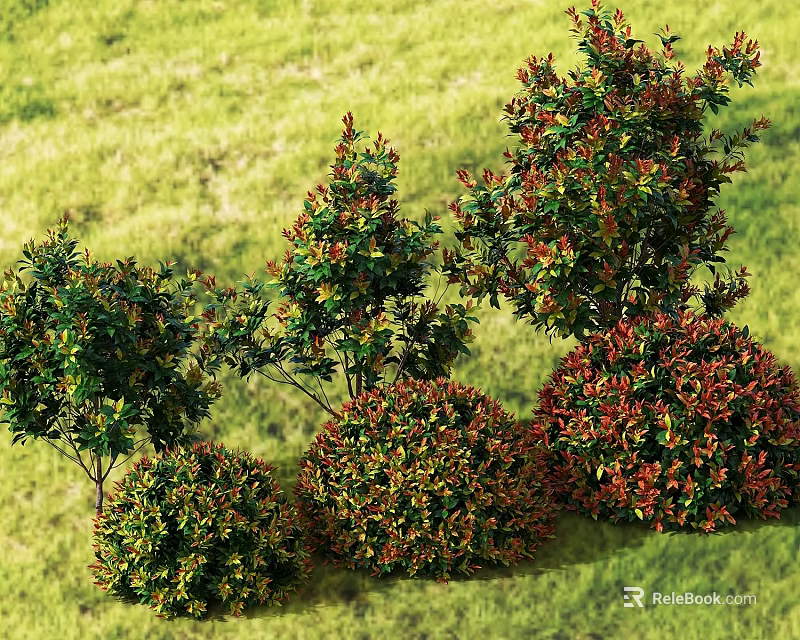 Beautiful Flowering Shrubs with Various Shapes and Colors in Green Grassy Background 3d model 