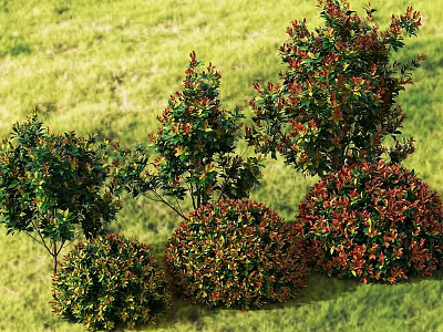 Beautiful Flowering Shrubs with Various Shapes and Colors in Green Grassy Background 3d model