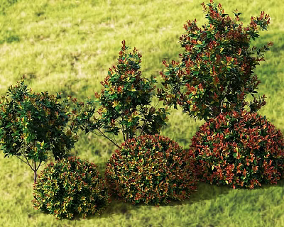 Beautiful Flowering Shrubs with Various Shapes and Colors in Green Grassy Background 3d model