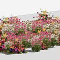 Colorful Flowering Shrubs With Pink White Yellow Blooms In Garden Landscape