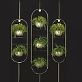 Stylish Hanging Basket Plants with Metal Frames and Lush Green Ferns
