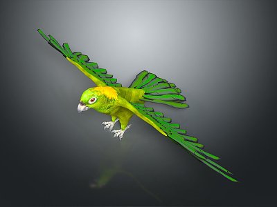 Modern Birds 3d model