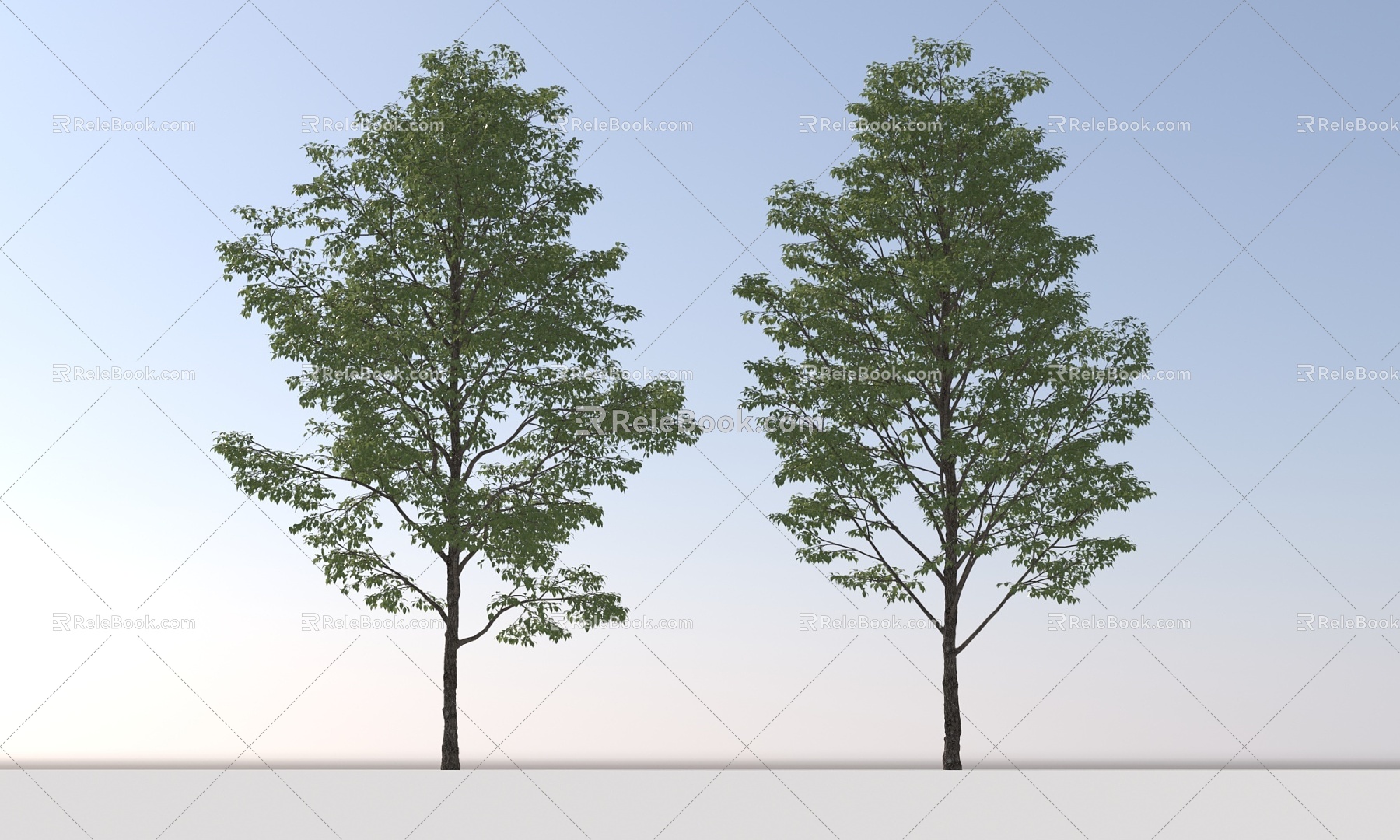 Landscape Arbor Tree 3d model