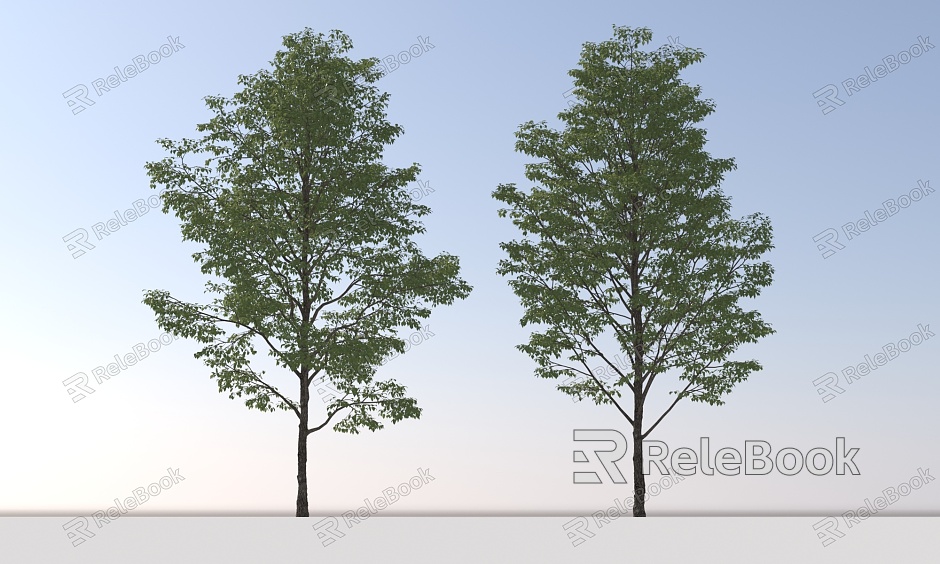 Landscape Arbor Tree model