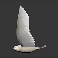 White Dove Flying Gracefully With Spread Wings Against Dark Background