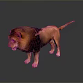 Realistic 3D Rendered Lion With Reddish Brown Mane Standing On Shiny Black Background