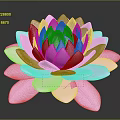 Pink Lotus Flower with Layered Petals on Dark Background showing Clear Reflection 3d model
