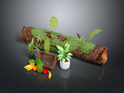 Decorative Wooden Log With Moss Ferns Fruits Wooden Tray And White Pot Plant 3d model