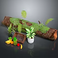 Decorative Wooden Log With Moss Ferns Fruits Wooden Tray And White Pot Plant