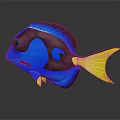 Vibrant Blue And Brown Fish With Yellow Tail And Reflective Surface