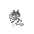 Decorative Ornament Combination With Green Plant Glass Vase Wooden Tray And Glassware