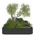 Green Plants And Trees In Gray Circular Container With Stones And Foliage