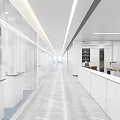 Modern Laboratory With Long Corridor Glass Partitions White Benches Cabinets And Bright Workspace