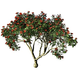 tree landscape tree shrub plant 3d model