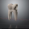Anatomical 3D Tooth Organ Model With Colorful Lines And Black Background Reflection