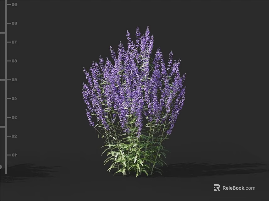 Clustered Purple Flowers On Tall Plant With Green Foliage Against Dark Background 3d model 
