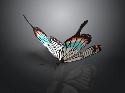 Colorful Butterfly With Spread Wings Blue Orange Patterns And Reflection 3d model