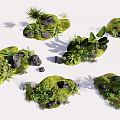Tropical Greenery Arrangement With Various Plants Rocks And Mossy Ground