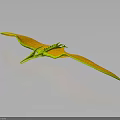 Green And Yellow Pterosaur With Large Wings 3D Rendered On Black Background With Reflection 3d model