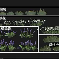 Colorful Garden Flowers Including Chrysanthemum Snowdrop Tulip And Purple Juniper