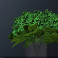 Green Hydrangea Flowers In Dark Blue Vase On Gray Surface With Dark Background