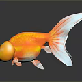 Orange Goldfish With Large Yellow Bubble Cheeks White Tail Tip On Dark Background Reflections 3d model