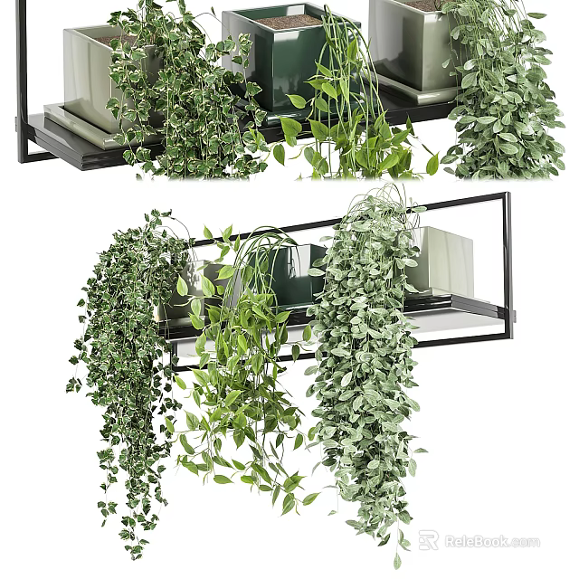 Stylish Hanging Basket Plants With Lush Trailing Foliage On Indoor Decorative Shelf 3d model 