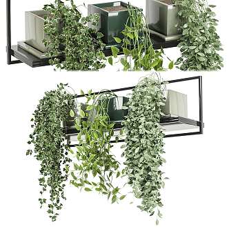 Modern hanging basket hanging type potted plant 3d model