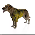 Labrador Dog Wearing Yellow Shirt With Leaf Pattern Standing On White Background