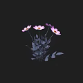 Beautiful Pink And Purple Flowers With Green Leaves On Black Background