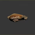 Snail With Spiral Brown Shell Light Brown Body And Antennae On Smooth Dark Surface