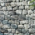 Natural Stone Made Building Exterior Wall With Rough Texture And Green Leaves Decoration